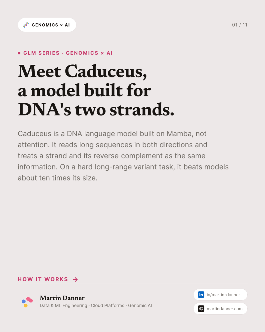 Caduceus: a DNA model built for both strands