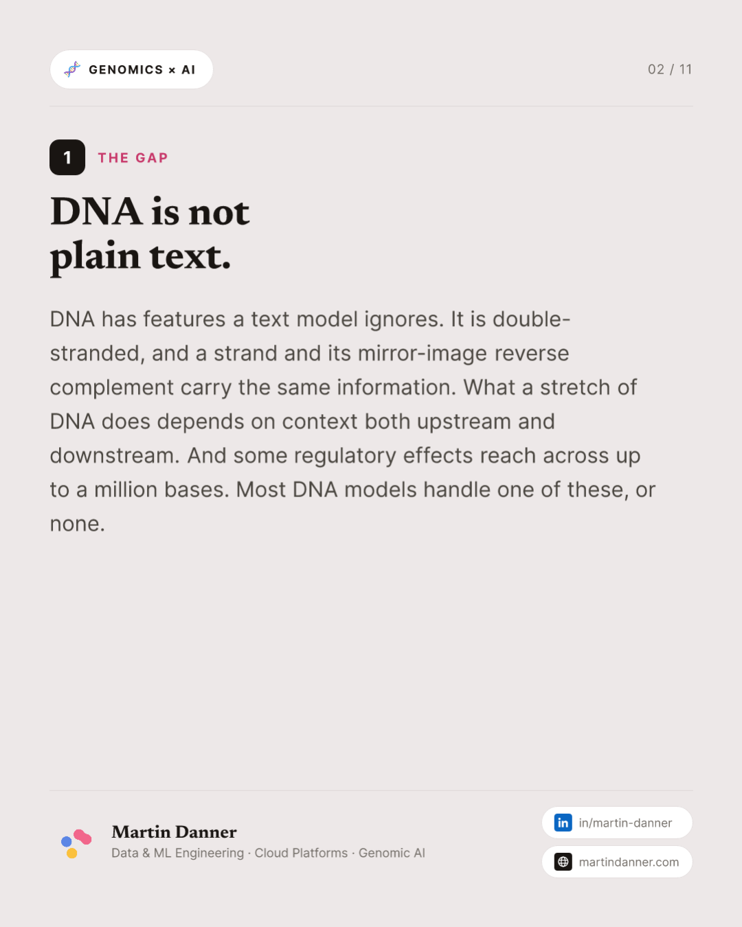 Caduceus: a DNA model built for both strands — 2 / 11