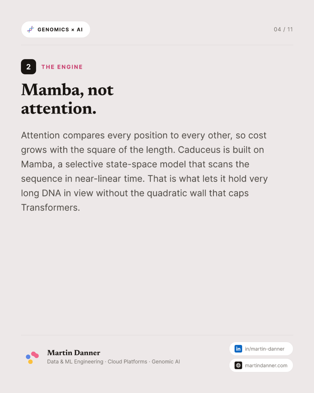 Caduceus: a DNA model built for both strands — 4 / 11