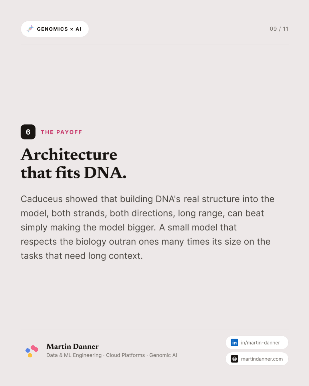Caduceus: a DNA model built for both strands — 9 / 11
