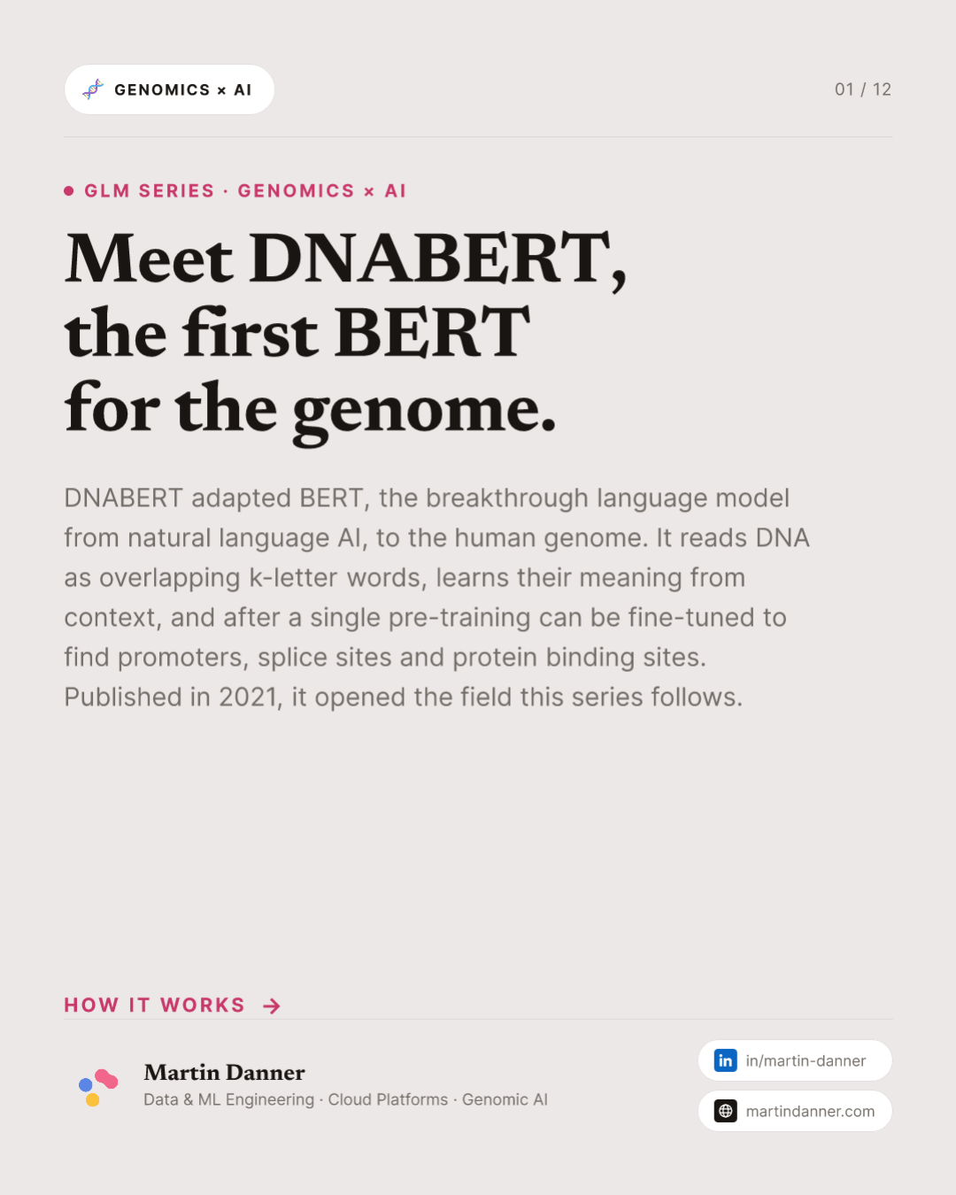 DNABERT: the first BERT for the genome