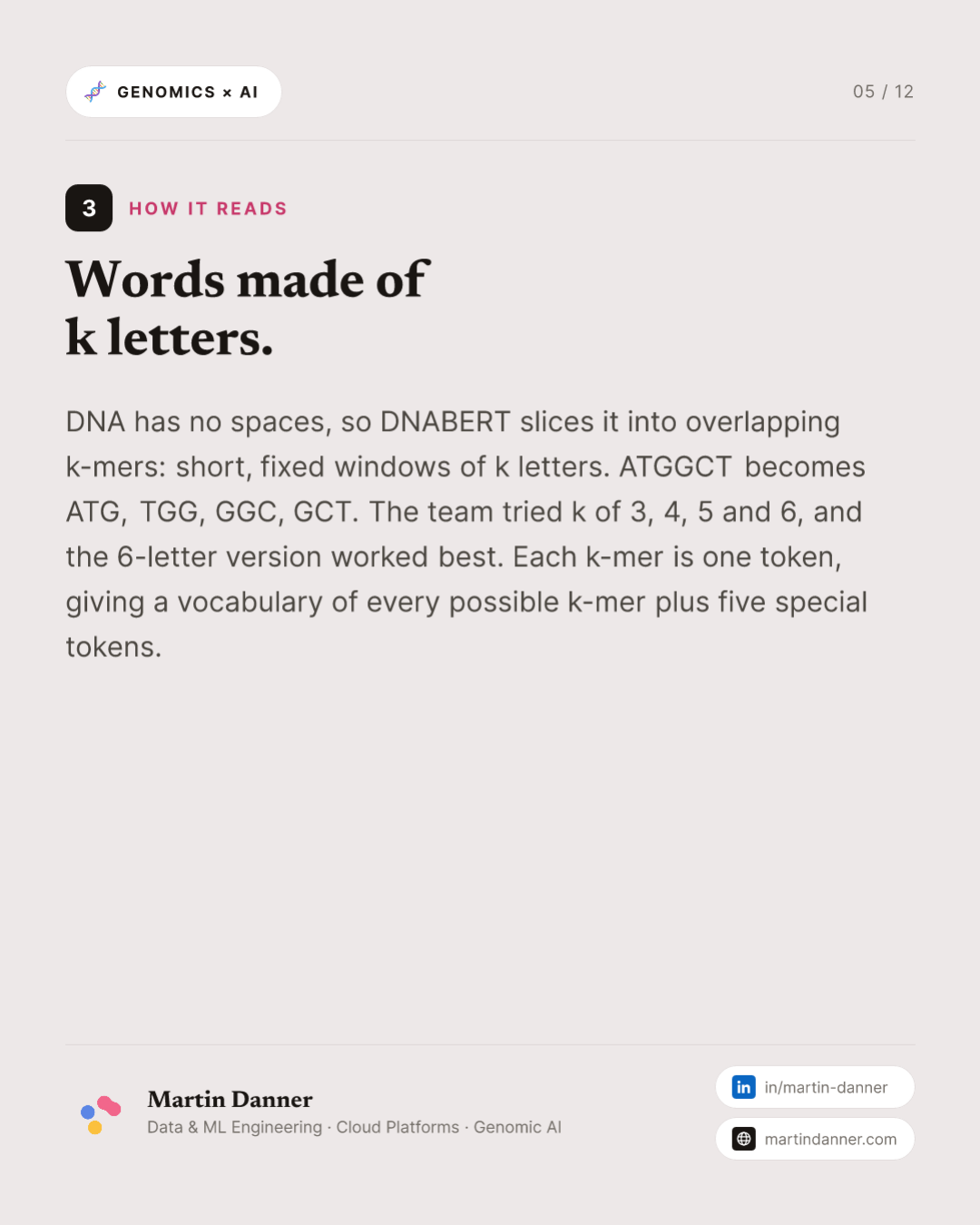 DNABERT: the first BERT for the genome — 5 / 12