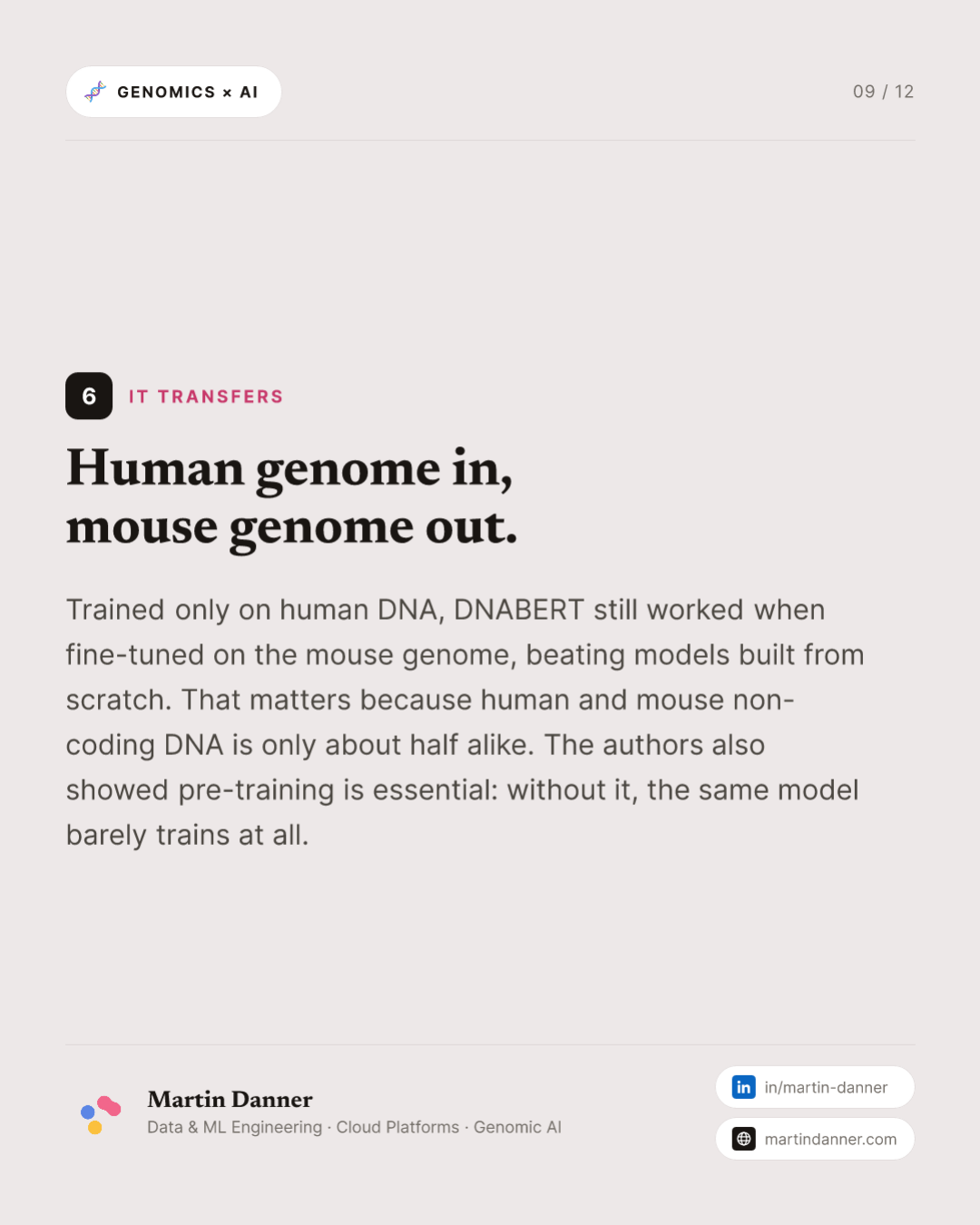 DNABERT: the first BERT for the genome — 9 / 12