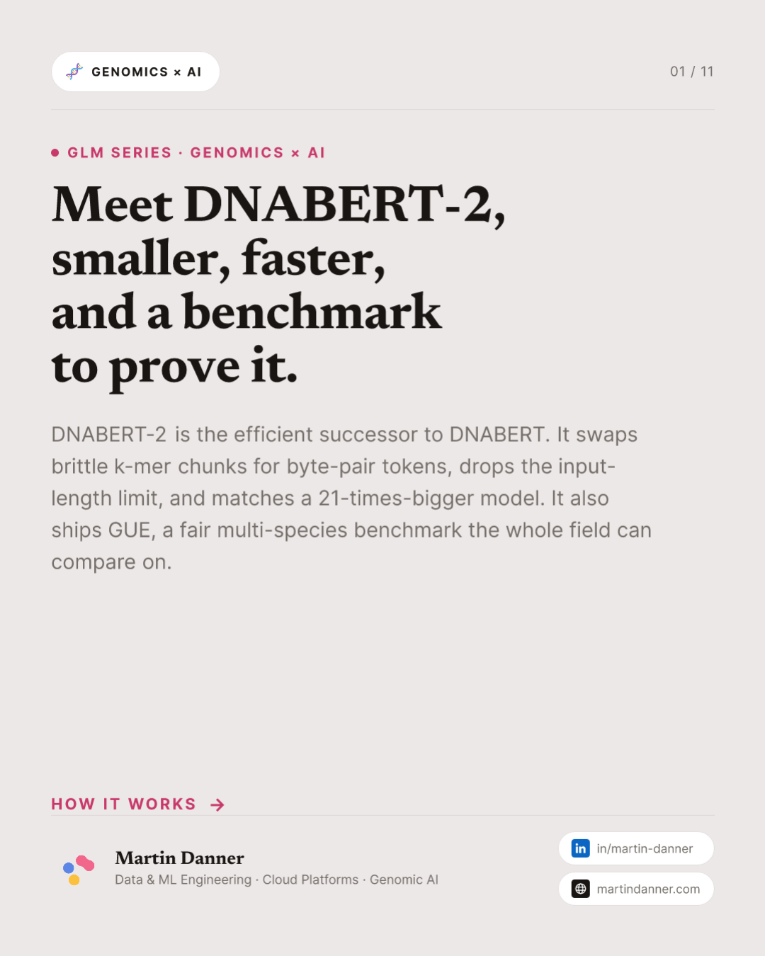 DNABERT-2: smaller, faster, and a benchmark to prove it