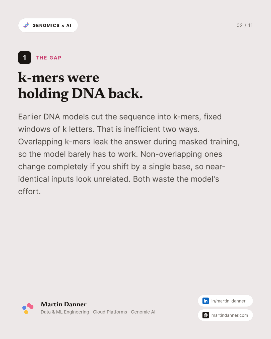 DNABERT-2: smaller, faster, and a benchmark to prove it — 2 / 11