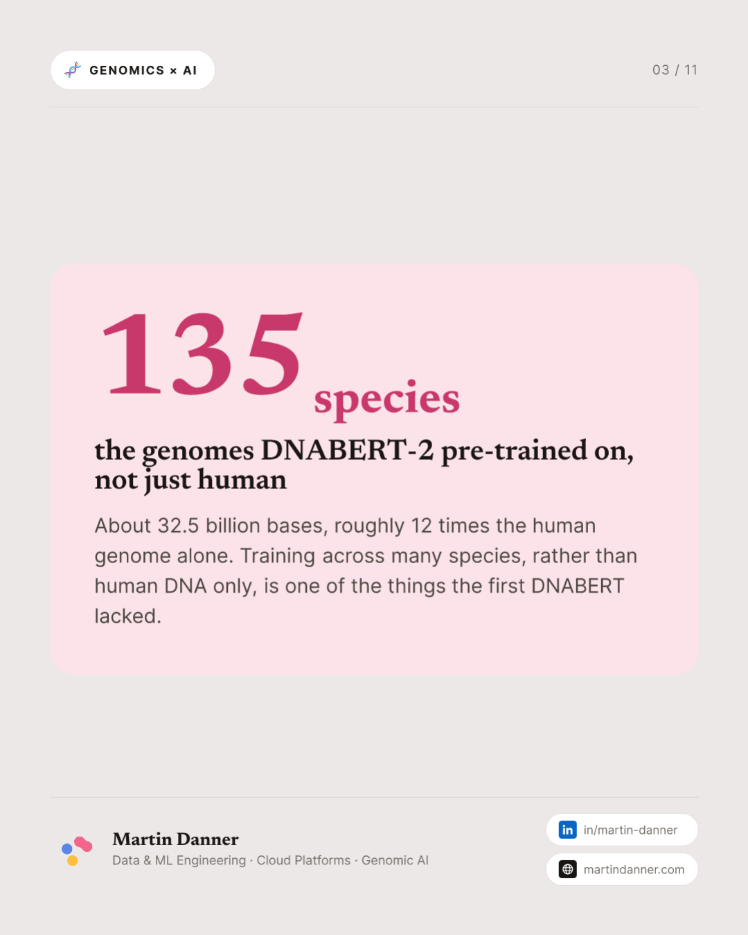 DNABERT-2: smaller, faster, and a benchmark to prove it — 3 / 11