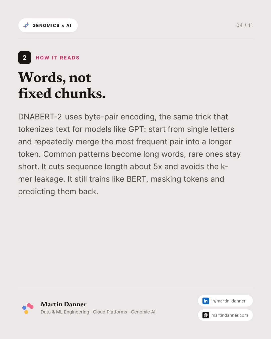 DNABERT-2: smaller, faster, and a benchmark to prove it — 4 / 11