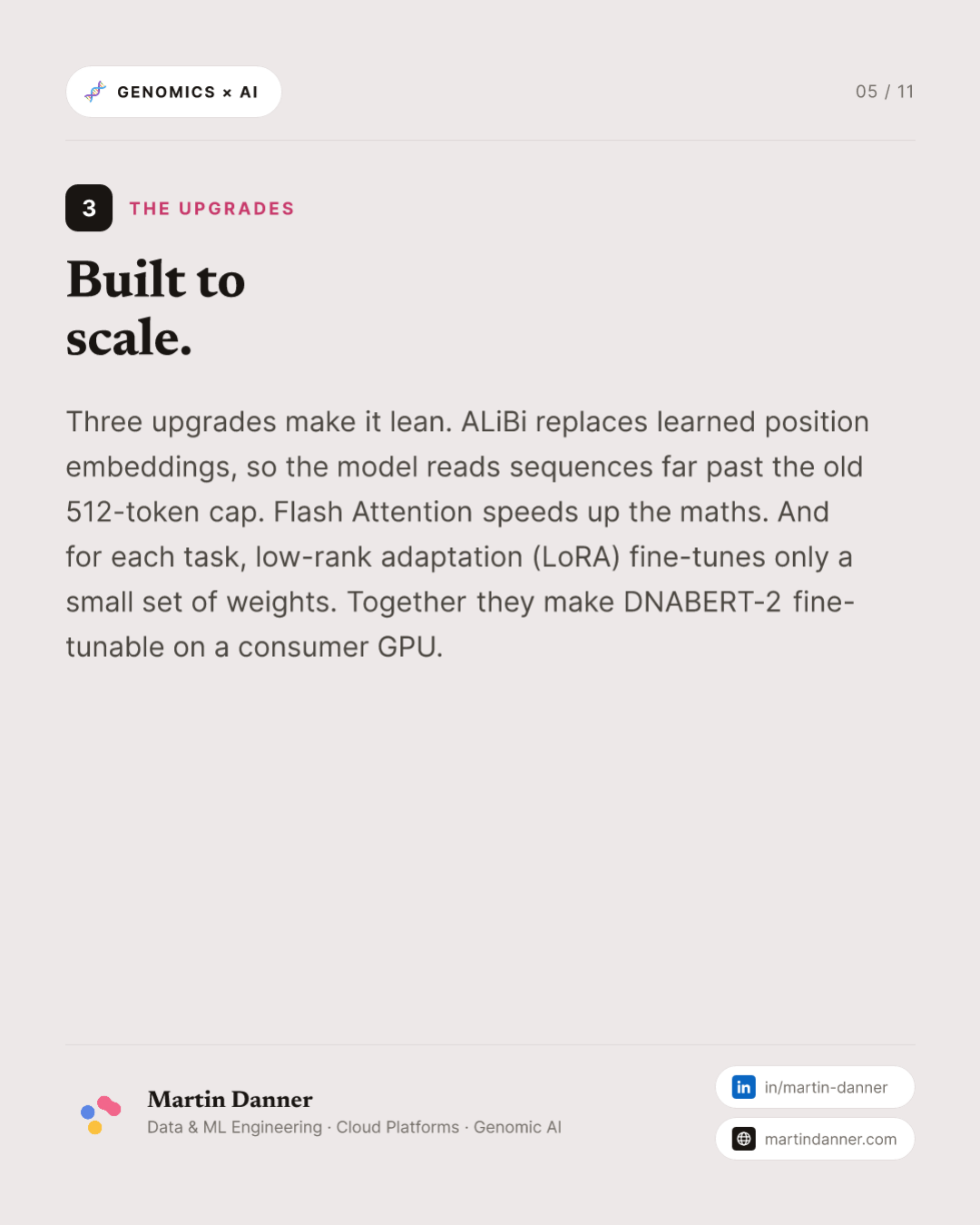 DNABERT-2: smaller, faster, and a benchmark to prove it — 5 / 11