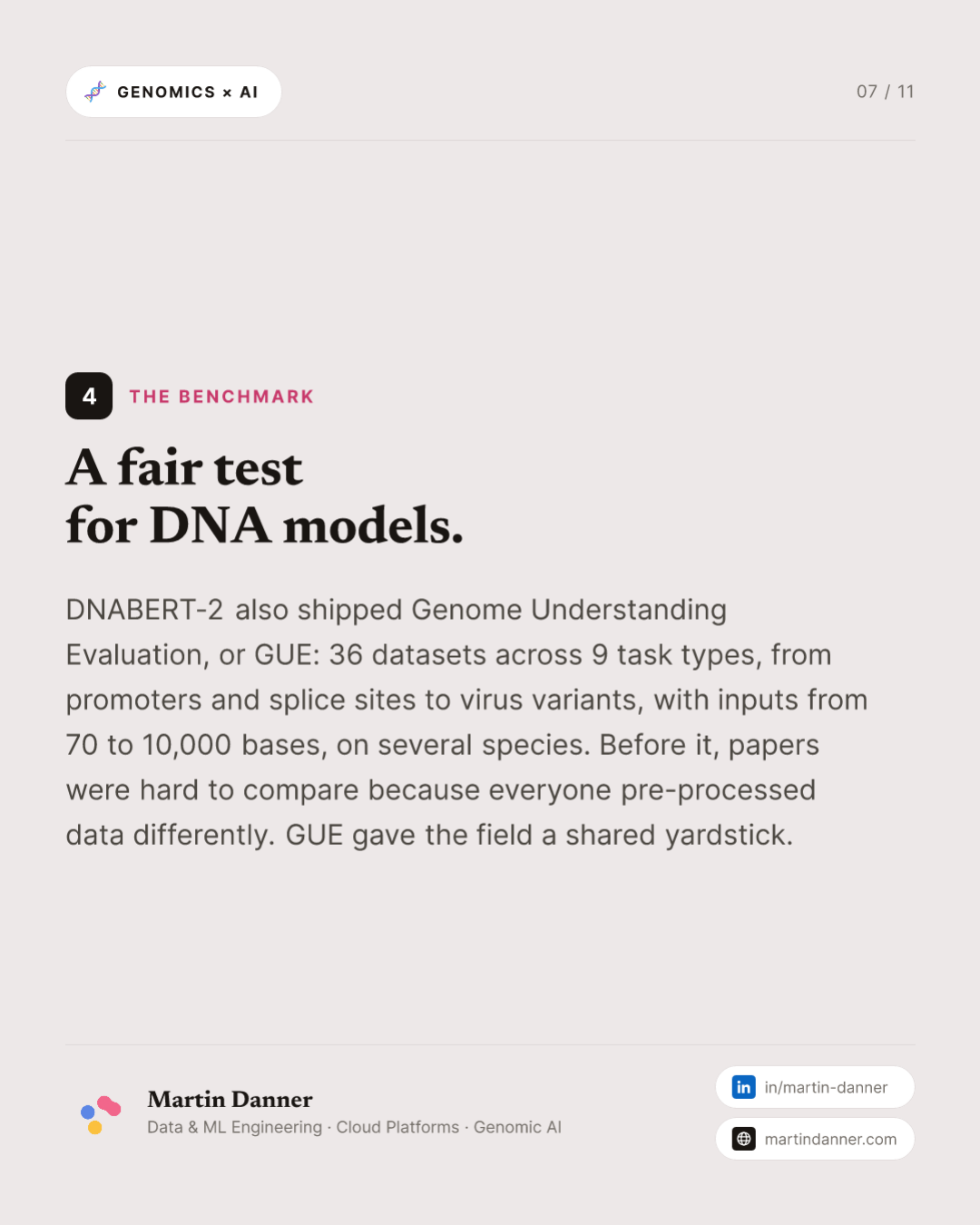 DNABERT-2: smaller, faster, and a benchmark to prove it — 7 / 11