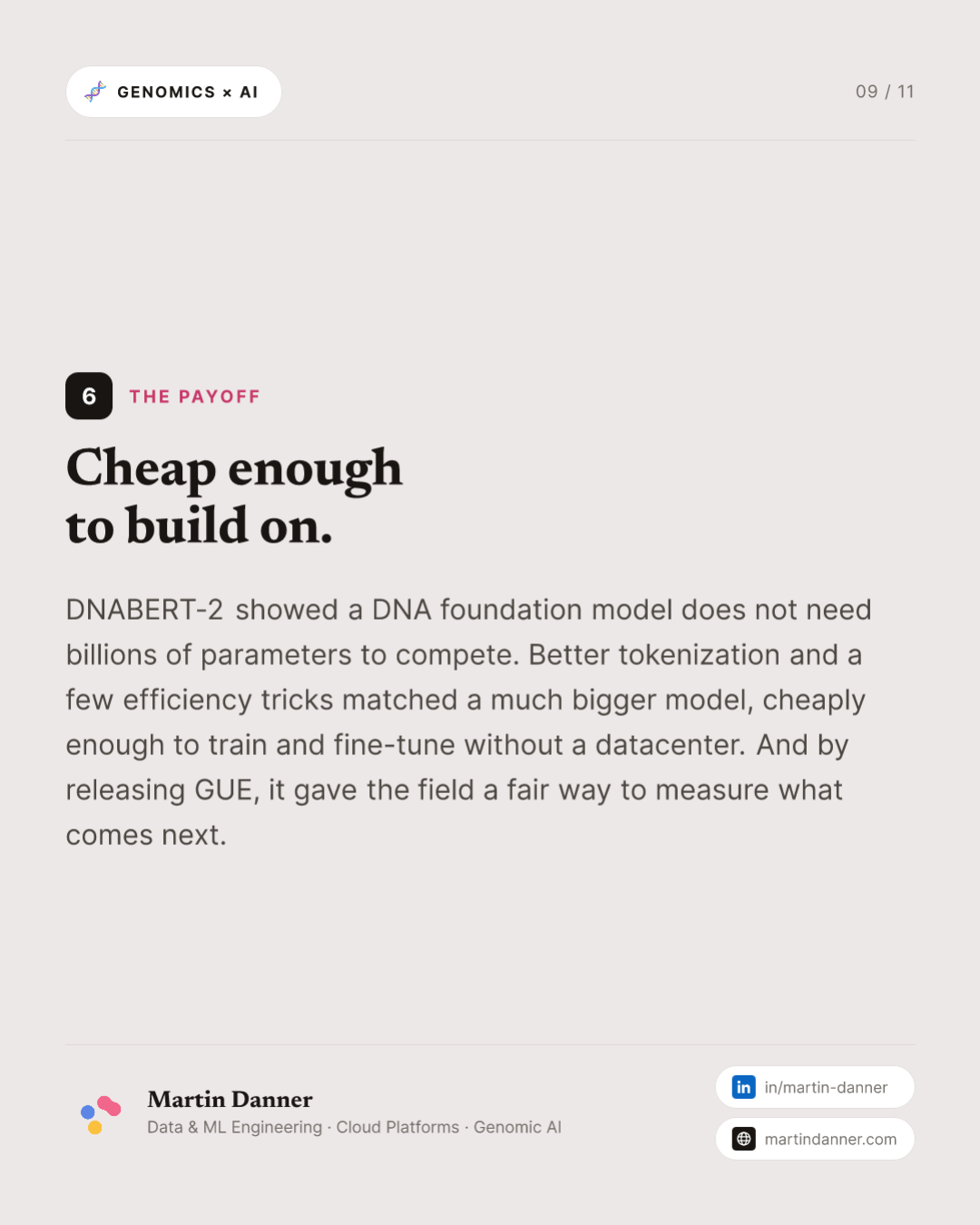 DNABERT-2: smaller, faster, and a benchmark to prove it — 9 / 11