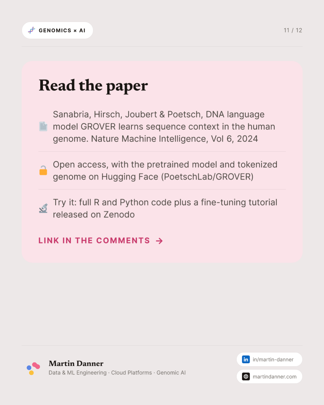 GROVER: a model that finds the words in DNA — 11 / 12