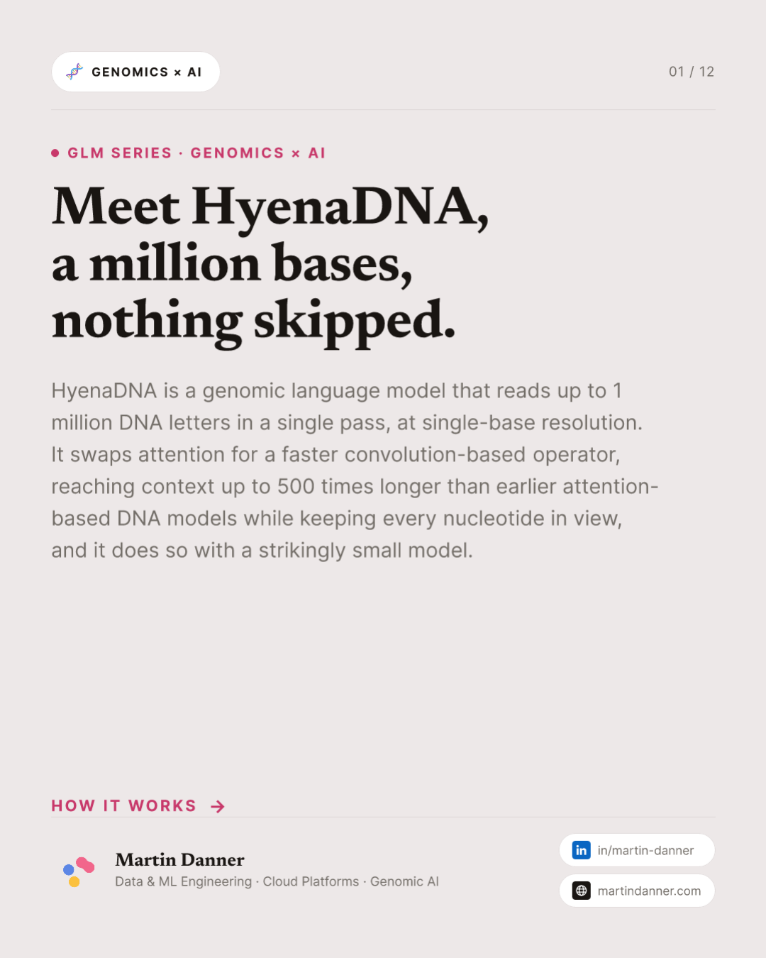 HyenaDNA: a million bases, nothing skipped