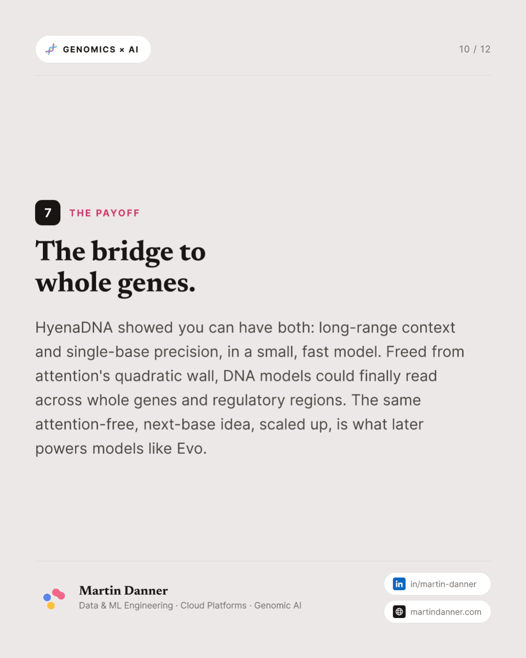 HyenaDNA: a million bases, nothing skipped — 10 / 12