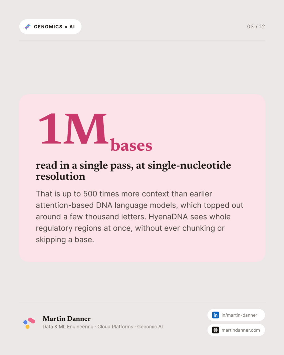 HyenaDNA: a million bases, nothing skipped — 3 / 12