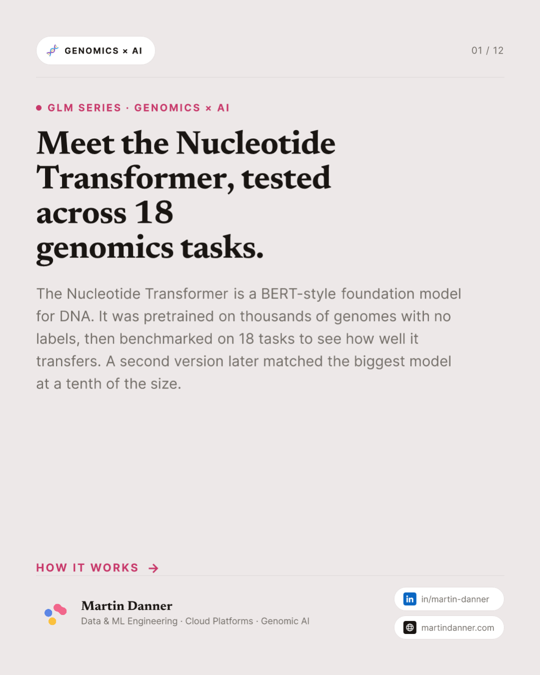 Nucleotide Transformer: one DNA model, 18 genomics tasks