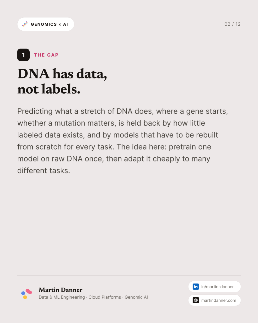 Nucleotide Transformer: one DNA model, 18 genomics tasks — 2 / 12