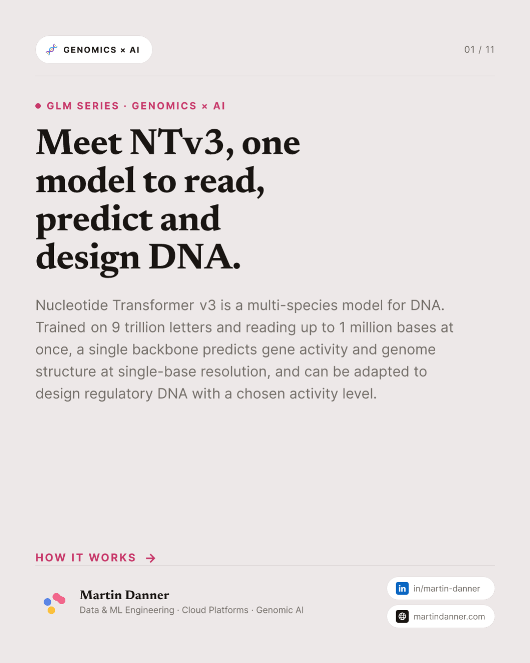 NTv3: one model to read, predict and design DNA